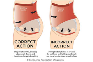 The Pelvic Floor and Core